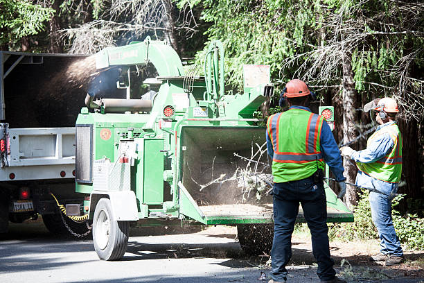 Best Commercial Tree Services  in Quakertown, PA